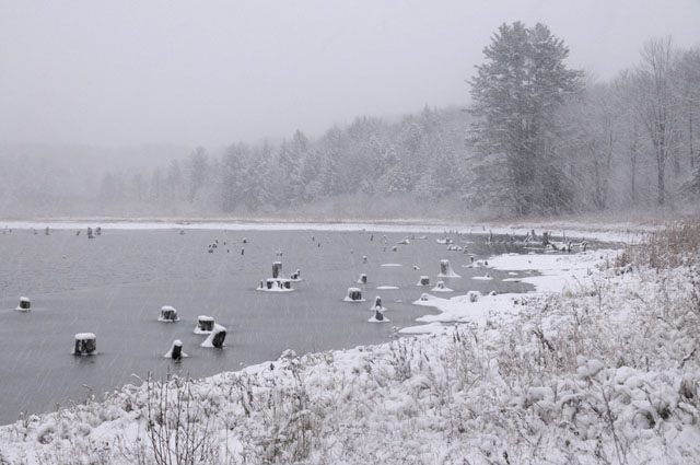First Real Snow of 2009 at Nevins Pond