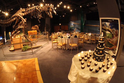 Cake Table & T-Rex