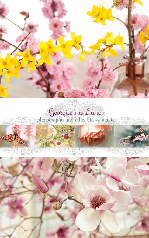 Lovely blogs: Georgianna Lane