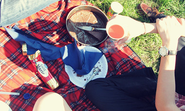 picnic at Djurgården