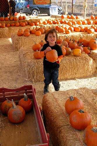 Oma's Pumpkin Patch