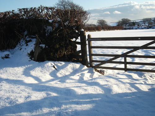 Exmoor snow 3