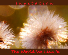 Invitation ~ The World We Live In