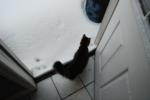 You want to go outside? ORLY?
