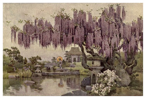 004-Una vieja Wisteria-The flowers and gardens of Japan (1908)-  Ella Du Cane