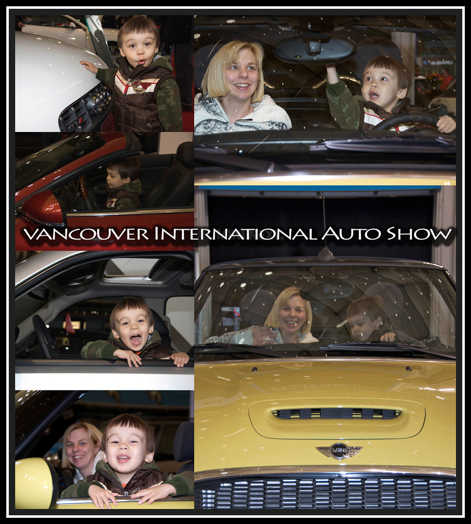 auto show 2010 a