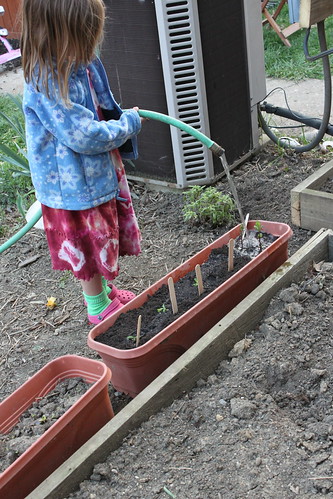 watering a child made container garden