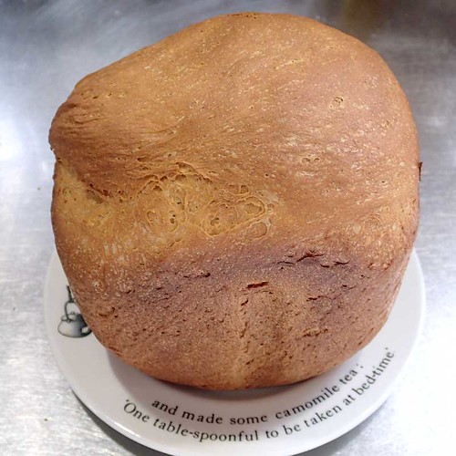 ホームベーカリーで2013年5月30日に作ったパン