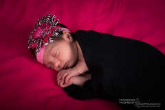 Baby Charlotte Newborn Photoshoot-141.jpg