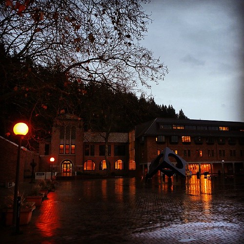 The rain is back, but the beauty never left. Hang in there, Vikings! Just one more day of #finalsweek.