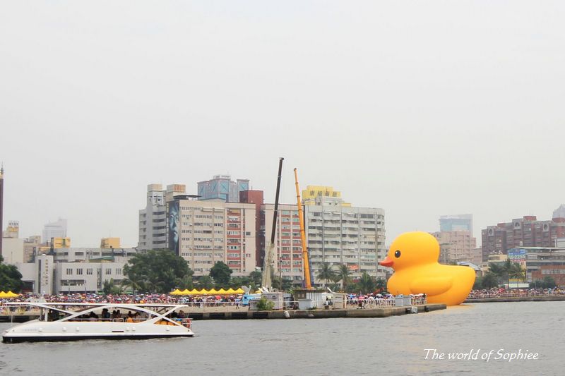 〔3Y6M〕黃色小鴨。高雄真愛碼頭