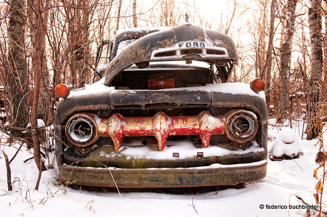 old trees winter red snow cold green abandoned yellow vintage emblem countryside pickup manitoba textures vehicles trucks grille anthropomorphism anthropomorphic beaters clunkers windygates rustbuckets openhood 1951fordf1