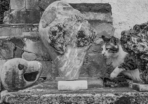 Sculptures with cat ©  Raymond Zoller