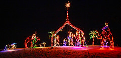 Christmas Nativity In Lights