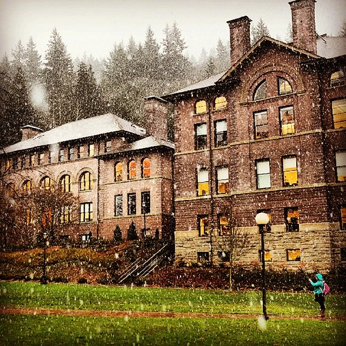 The first snow of the season always deserves a photo. Beautiful December in the #PNW.
