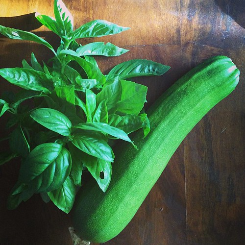 Almost 2lb zucchini and a bunch of basil. Grocery shopping from the backyard.