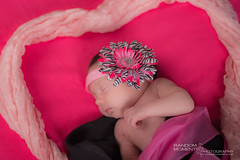 Baby Charlotte Newborn Photoshoot-180.jpg