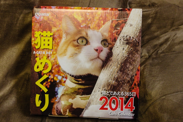 Cats Calendar 2014
