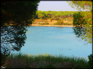 Laguna del Portil (Huelva)
