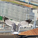 Study of the flight of seagulls 2 -stitch by Gianni Del Bufalo  CC BY 4.0