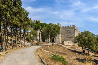 Path to the Castle