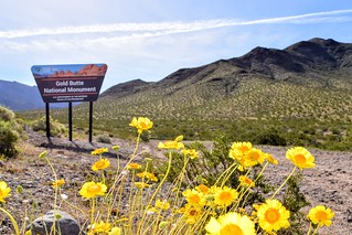 Gold Butte National Monument Portal Sign