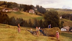 A long time ago: Heuernte beim #ploerr 1980 raccolta del fieno