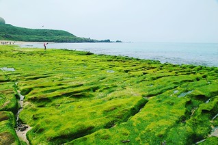 Green color is good for eyes ...  . . . #picture #beautiful #photo #photography #photooftheday #monument #picoftheday #travelphotography #taiwan #coast #beach #taipei #waves #seaweed #green