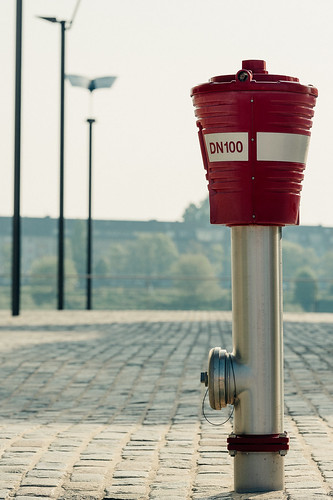 Hydrant DN100