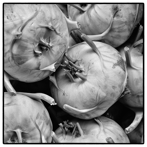 Turnip Cabbage