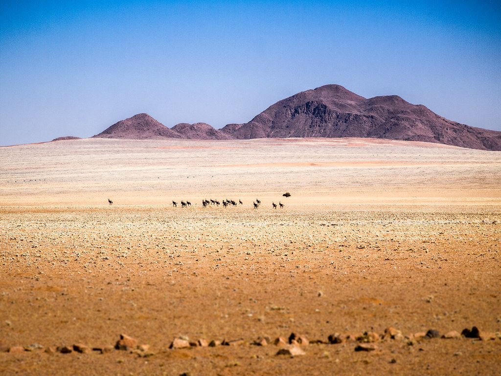 Namibia Landscape, NamibRand Nature Reserve, Namibia