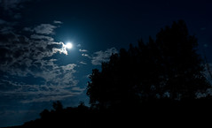 Moonlight Shadow.