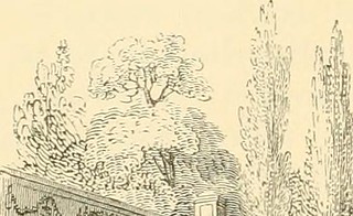 Image from page 59 of "The ruins of Pompeii : a series of eighteen photographic views : with an account of the destruction of the city, and a description of the most interesting remains" (1867)