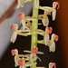 Liparis parviflora – Jim Anderson