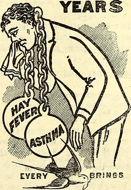 Image from page 802 of North Carolina Christian advocate [serial] (1894)