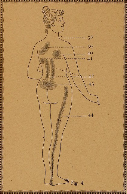 Image from page 15 of Physical atlas, or, Practical family doctor book, containing 300 modern and up-to-date recipes for treating both general and special diseases (1903)