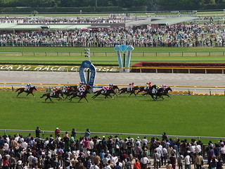 Horse racing @ Tokyo Race Course @ Fuchu