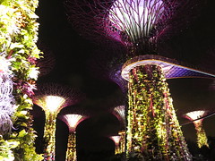 Garden by the Bay <a style="margin-left:10px; font-size:0.8em;" href="http://www.flickr.com/photos/83080376@N03/15422415861/" target="_blank">@flickr</a>
