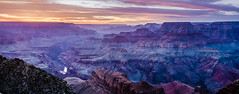 The mauve Grand Canyon