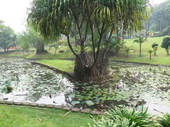 Parc à Kuala Lumpur <a style="margin-left:10px; font-size:0.8em;" href="http://www.flickr.com/photos/83080376@N03/15178279400/" target="_blank">@flickr</a>