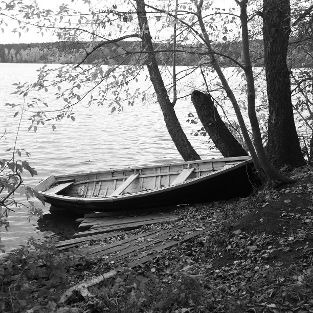 : A lonely #boat meets autumn at the lake.   ,   . ###bnw#blackandwhite#bw