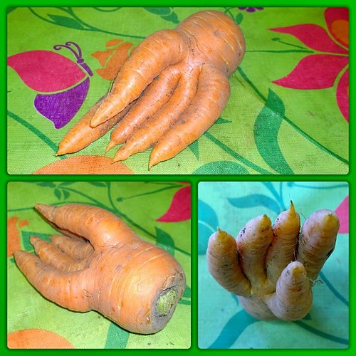 High five  from the garden. #carrot has been abducted by some aliens.  # #   (  )   # ©  D0NM