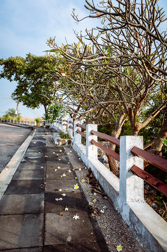 Walk up the Koh Sichang beach descent lane ©  Tony