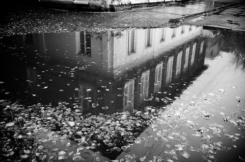 House and its puddle (b&w version) ©  Tony