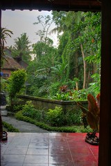 view from our room, Ubud