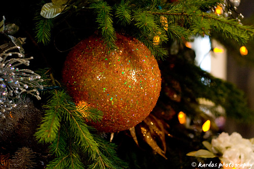 Christmas Ornament 2