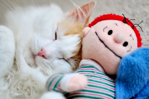 Jackie and his buddy