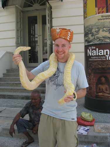 Albino snake charming