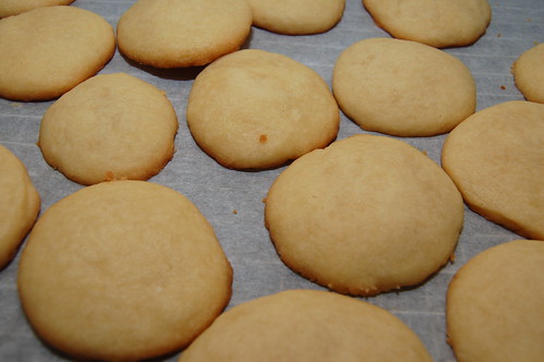 Round 2 of Shortbread Cookies