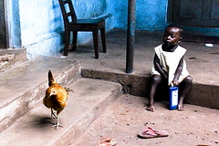 Kid and chicken